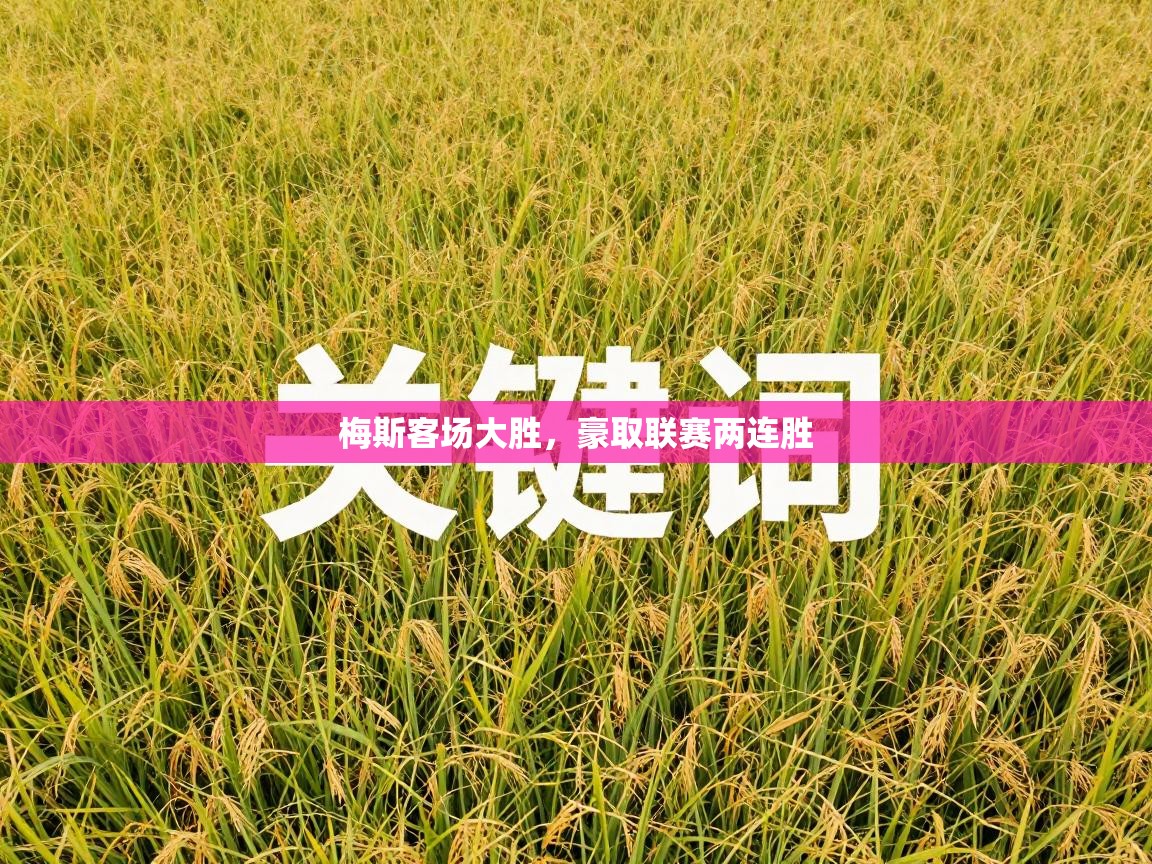 梅斯客场大胜，豪取联赛两连胜  第1张